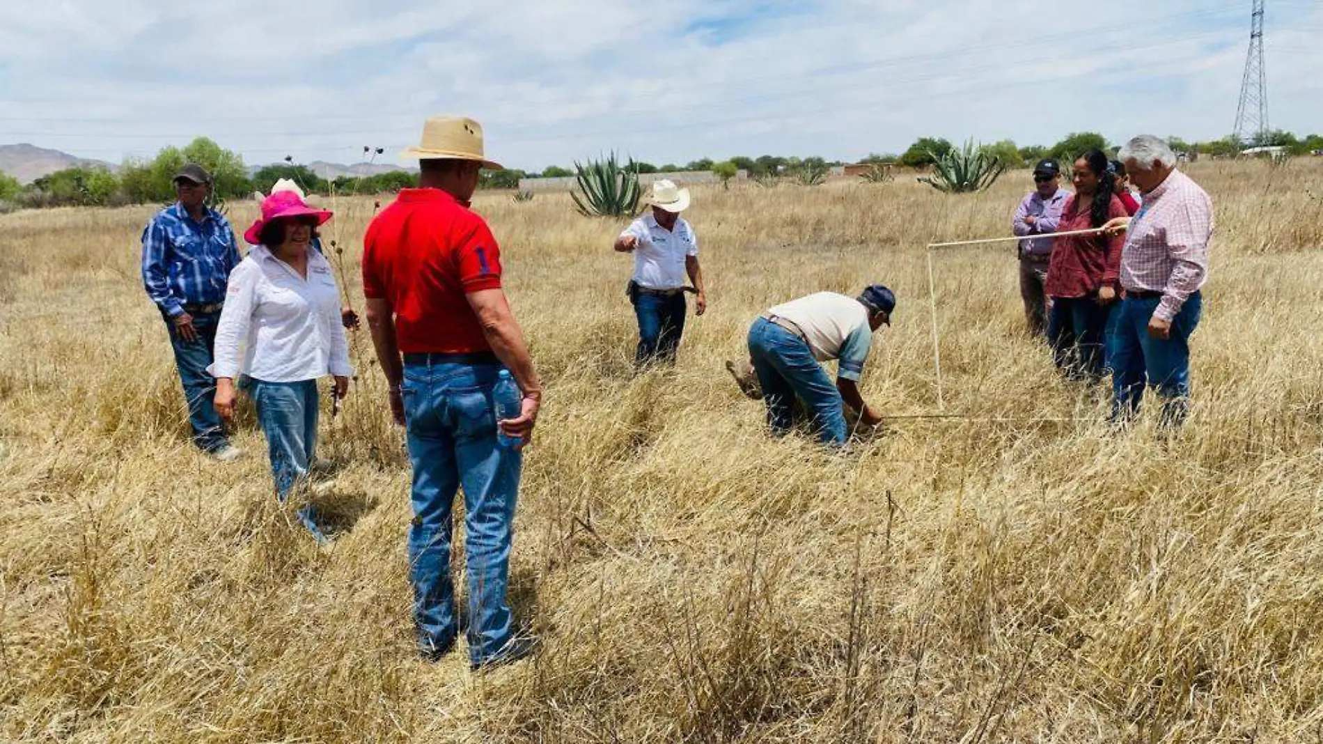 Taller para ganderos (1)